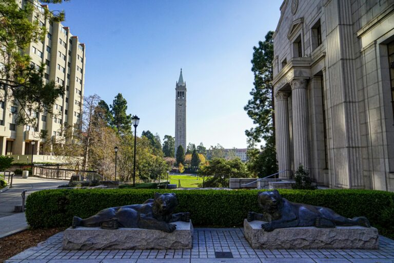 A view of UC Berkeley’s Sather Tower framed by university buildings, with two reclining lion statues in the foreground and trees lining the path, reflecting a historic campus scene