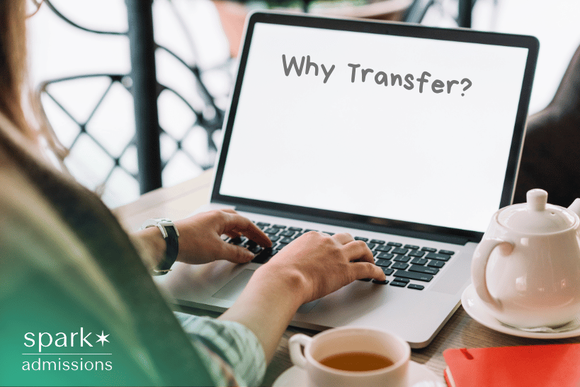 Student typing on laptop with “Why Transfer” text on screen