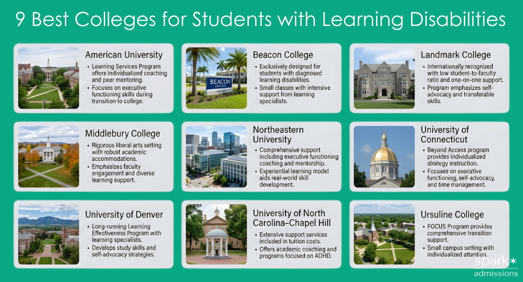 The 9 best colleges for students with learning disabilities in the United States.